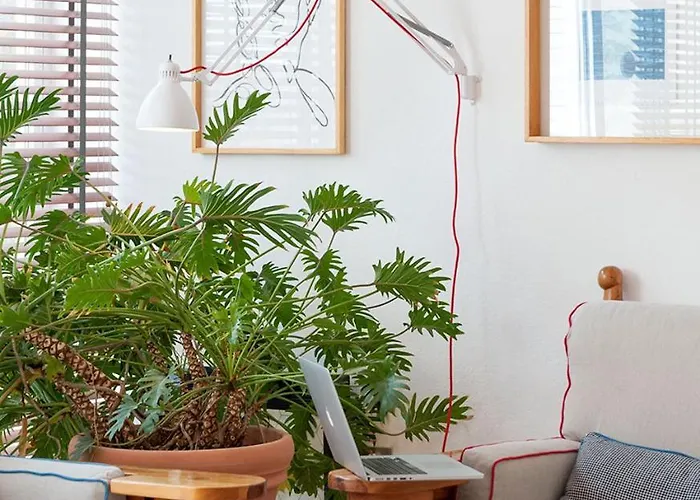 Iselba Aparthotel 4*